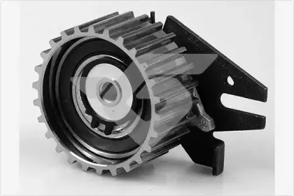 HTG 135 HUTCHINSON Натяжной ролик, ремень ГРМ